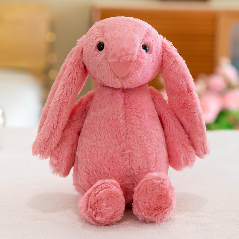 Bunny Rabbit01