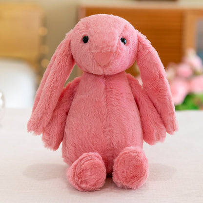 Bunny Rabbit01