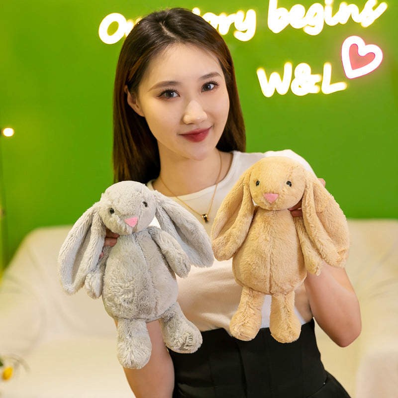 Bunny Rabbit01