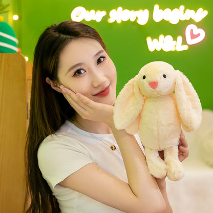 Bunny Rabbit01
