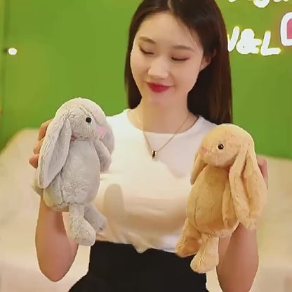 Bunny Rabbit01